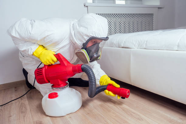 Best Best Pest Control Companies  in Sells, AZ