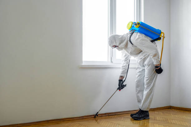 Best Emergency Pest Control  in Sells, AZ