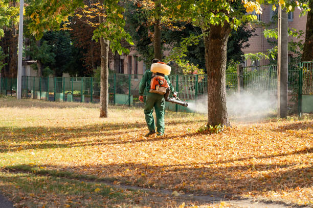 Best Bed Bug Extermination  in Sells, AZ