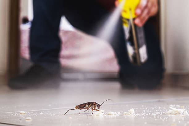 Best Pest Control for Restaurants  in Sells, AZ